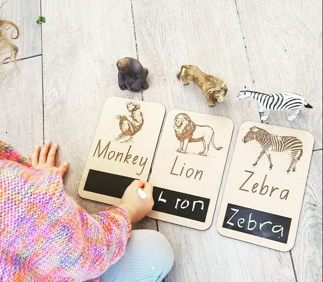 Zoo Animal Chalk Flash Cards